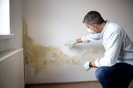 Best Industrial Mold Remediation  in Old Stine, CA